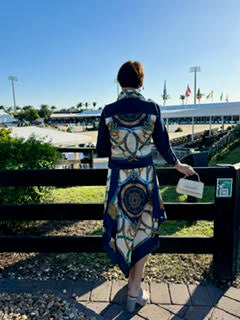 Silk Scarf Dress Blue Stirrup