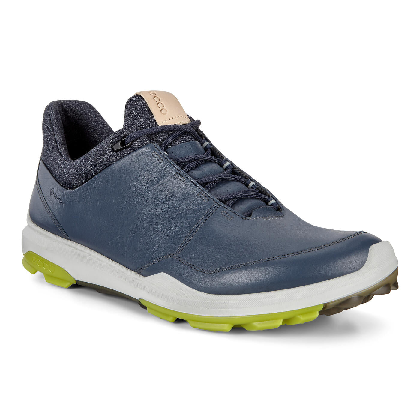 Biom Hybrid 3 Golf Shoe
